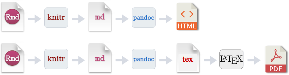 Introduction To R Markdown